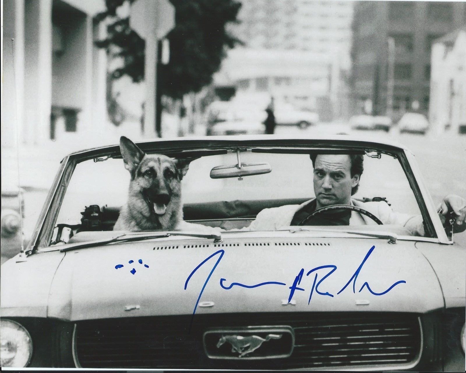 JIM BELUSHI signed autographed K-9 JERRY LEE 8x10 Photo Poster painting w/COA Detective Dooley