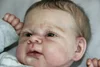 Babiesprincess Lifelike Reborn Baby Doll, Babiesprincess