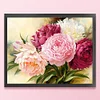 Peony - 18CT Stamped Cross Stitch - 50*40cm - Flower