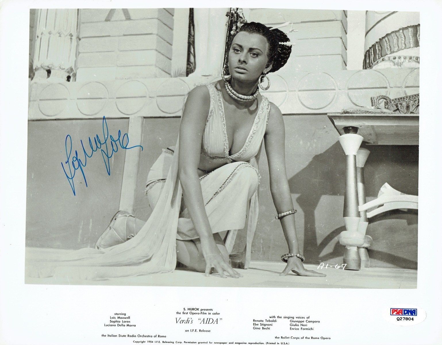 Sophia Loren Signed Aida Authentic Autographed 8x10 B/W Photo Poster painting PSA/DNA #Q27804