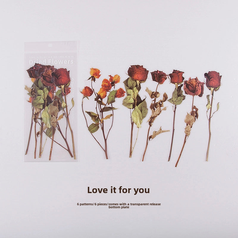 Women’s Mid-waist Pure Cotton Underpants Graphene Antibacterial Coating Ladies Briefs Comfortable Breathable Innerwear