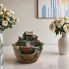 Succulent Pot Bonsai Container Decorative Flower Planter Pot for Micro Landscape