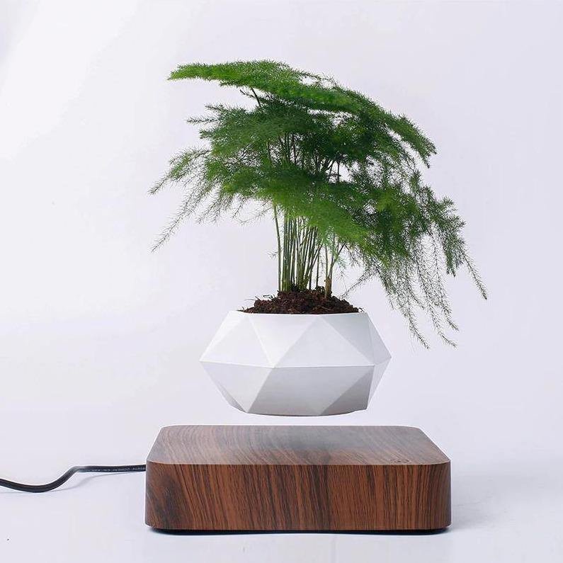 Magnetic Levitating Planter with Wood Grain Base