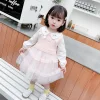 Kid Baby Girl Autumn Casual Cute Gauze Dresses