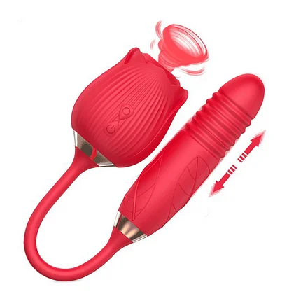 Rose Toy Official - Shop Affordable Adult Sex Toy Rose Toy Official - Shop Affordable Adult Sex Toy