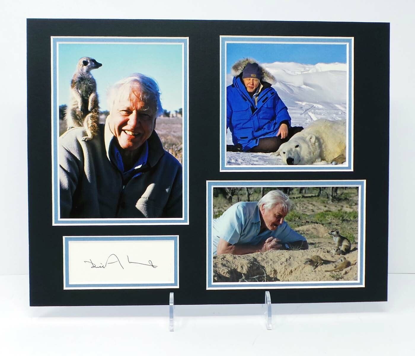 Sir David ATTENBOROUGH Rare Signed & Mounted Photo Poster painting Display AFTAL RD COA