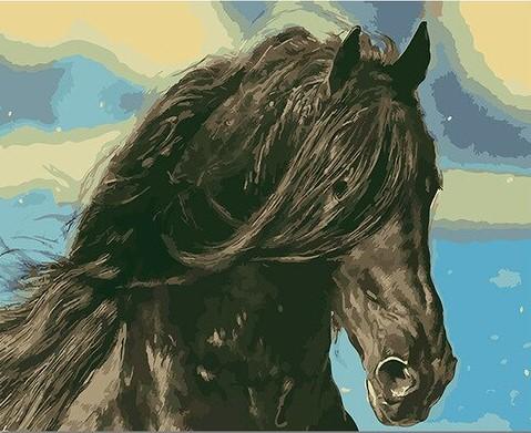

Black Horse Head – Paint By Numbers - 40*50CM, 501 Original