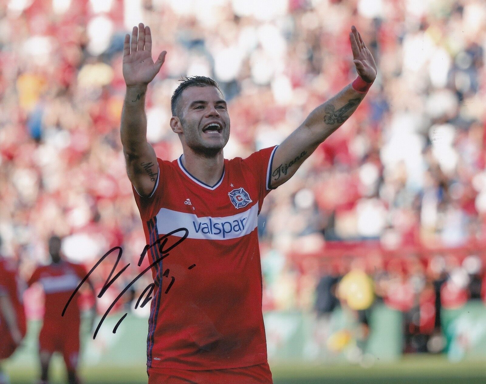 NEMANJA NIKOLIC signed (CHICAGO FIRE) autographed SOCCER 8X10 Photo Poster painting W/COA #4