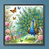 Pfau - speziell geformte Diamantmalerei - 30 * 30cm