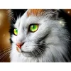 Green Eyes Cat | Full Round Diamond Painting Kits