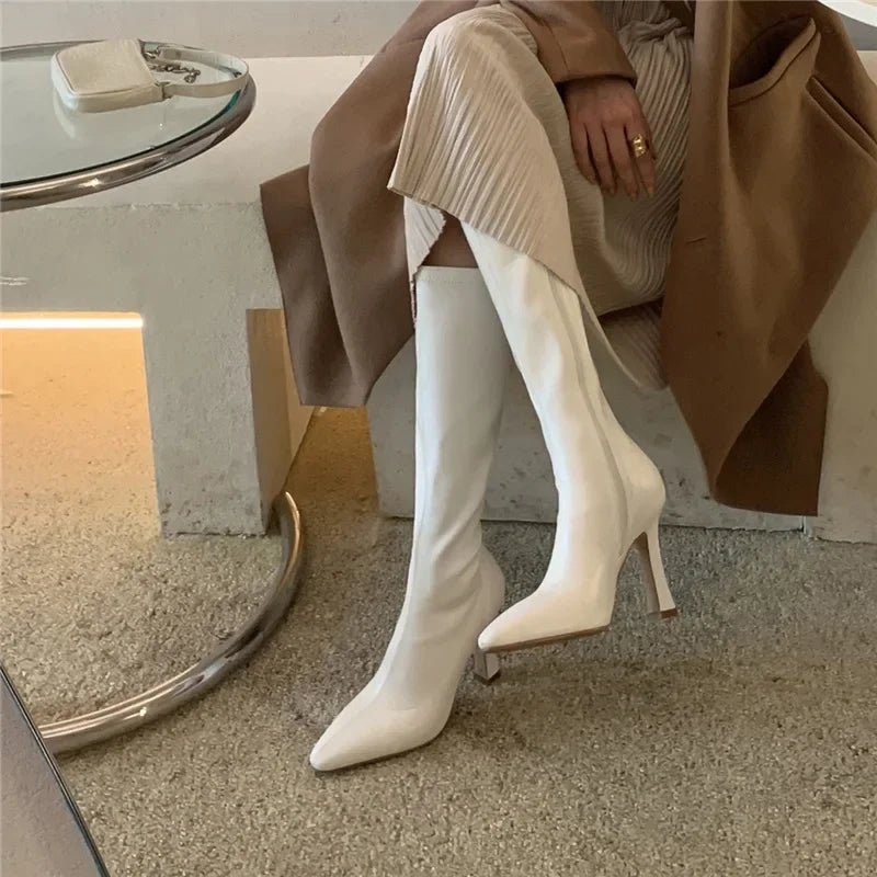 Winter Women Long Boots Fashion Thin High Heel Knee High Booties Ladies Black Brown Sexy Woman Knight Boats Botas De Mujer Aiertu