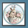Diamond Painting-DIY Full Round Drill Rabbit