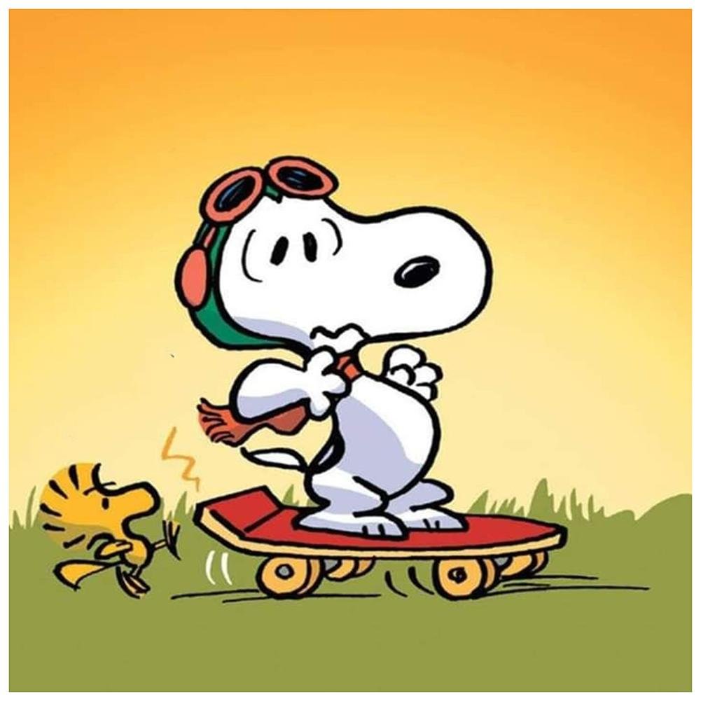 Full Round Diamond Painting - Snoopy(30*30cm)