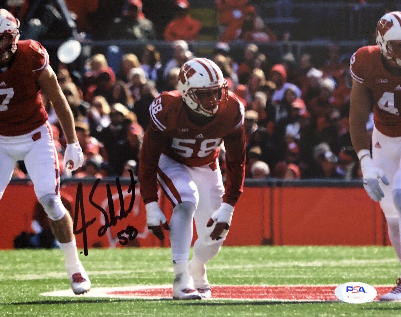 Joe Schobert Signed Autographed 8x10 Photo Poster painting Wisconsin Badgers Psa/Dna