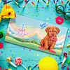 Diamond Painting-DIY 12pcs Greeting Cards