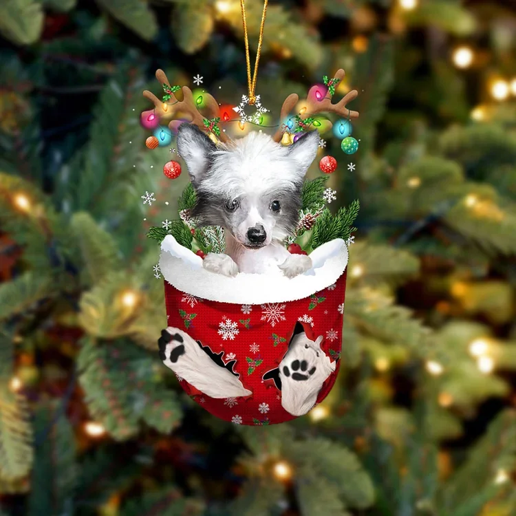 Chinese Crested Dog In Snow Pocket Christmas Ornament trabladzer