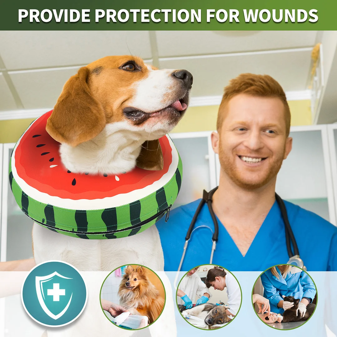 Protective Inflatable Collar for Dogs and Cats - Soft Pet Recovery Collar Doesn't Obstruct View, Small Size, Watermelon Look