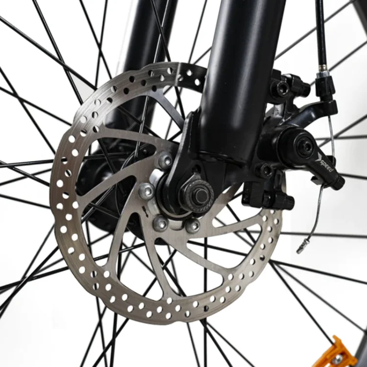 Bicycle Brake Disc