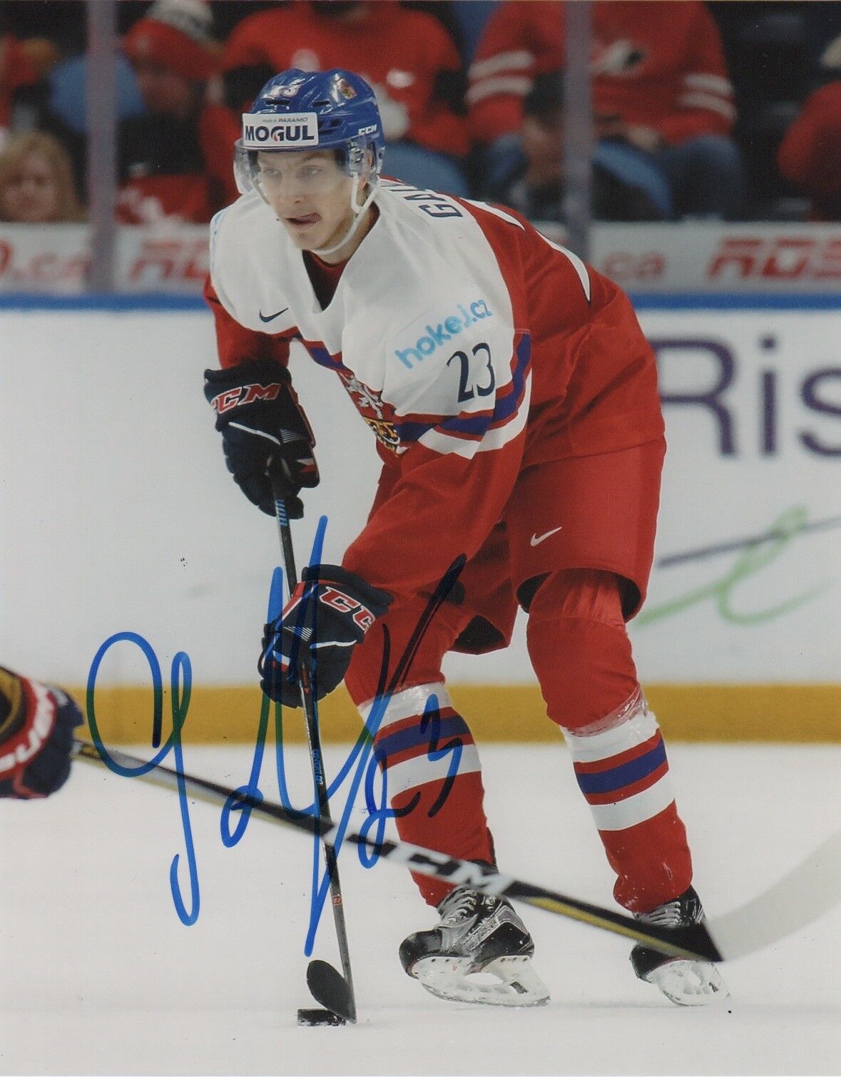 Czech Jakub Galvas Signed Autographed 8x10 NHL Photo Poster painting COA #5