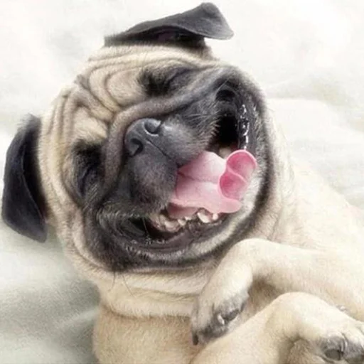 Diamond Painting - Full Round/Square Drill - Dog(30*30 - 50*50cm)