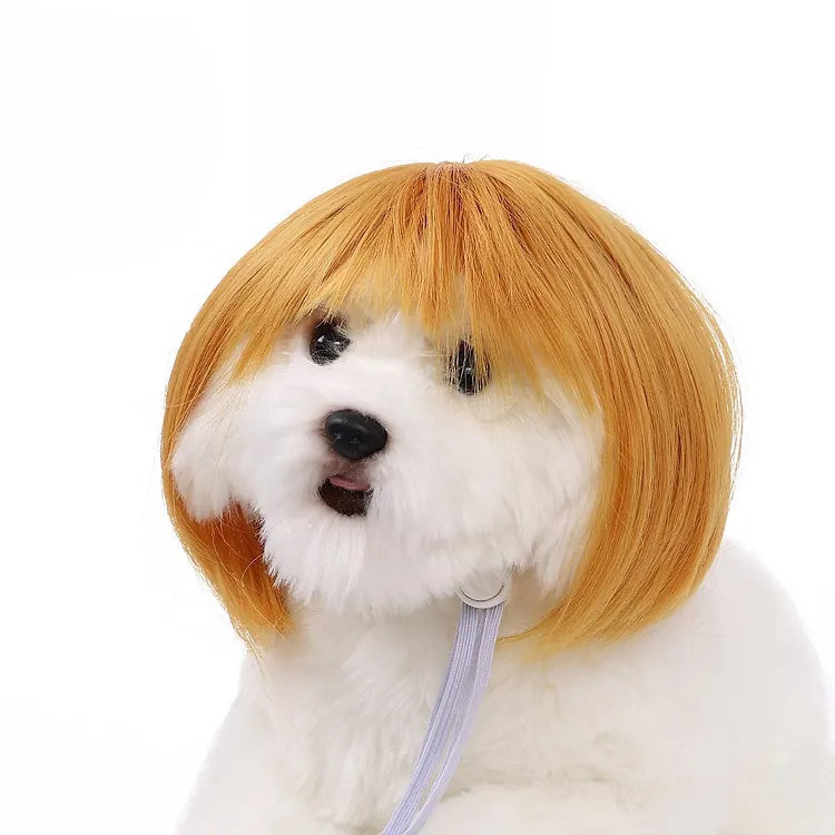 Cute Pet Wig Headband &ndash; Funny Costume Accessory for Dogs & Cats 