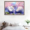 40 * 30CM - Speziell Geformte Diamant Malerei-zwei weiße Schwäne