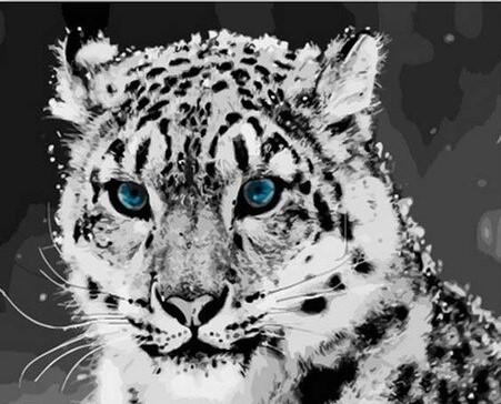 

Leopard Blue Eyes – Paint By Numbers - 40*50CM, 501 Original