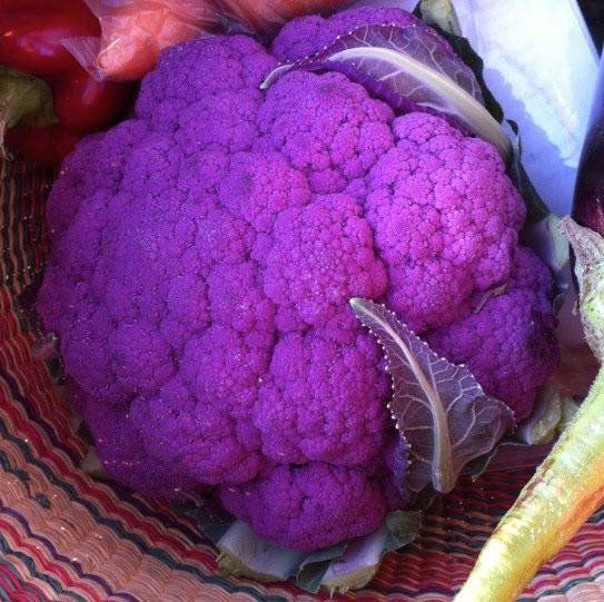 Non-GMO Purple Cauliflower Seeds Graffiti F1 Jonyparkseed®