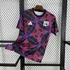 2025/2026 Lyon Pre-match training Football Shirt 1:1 Thai Quality