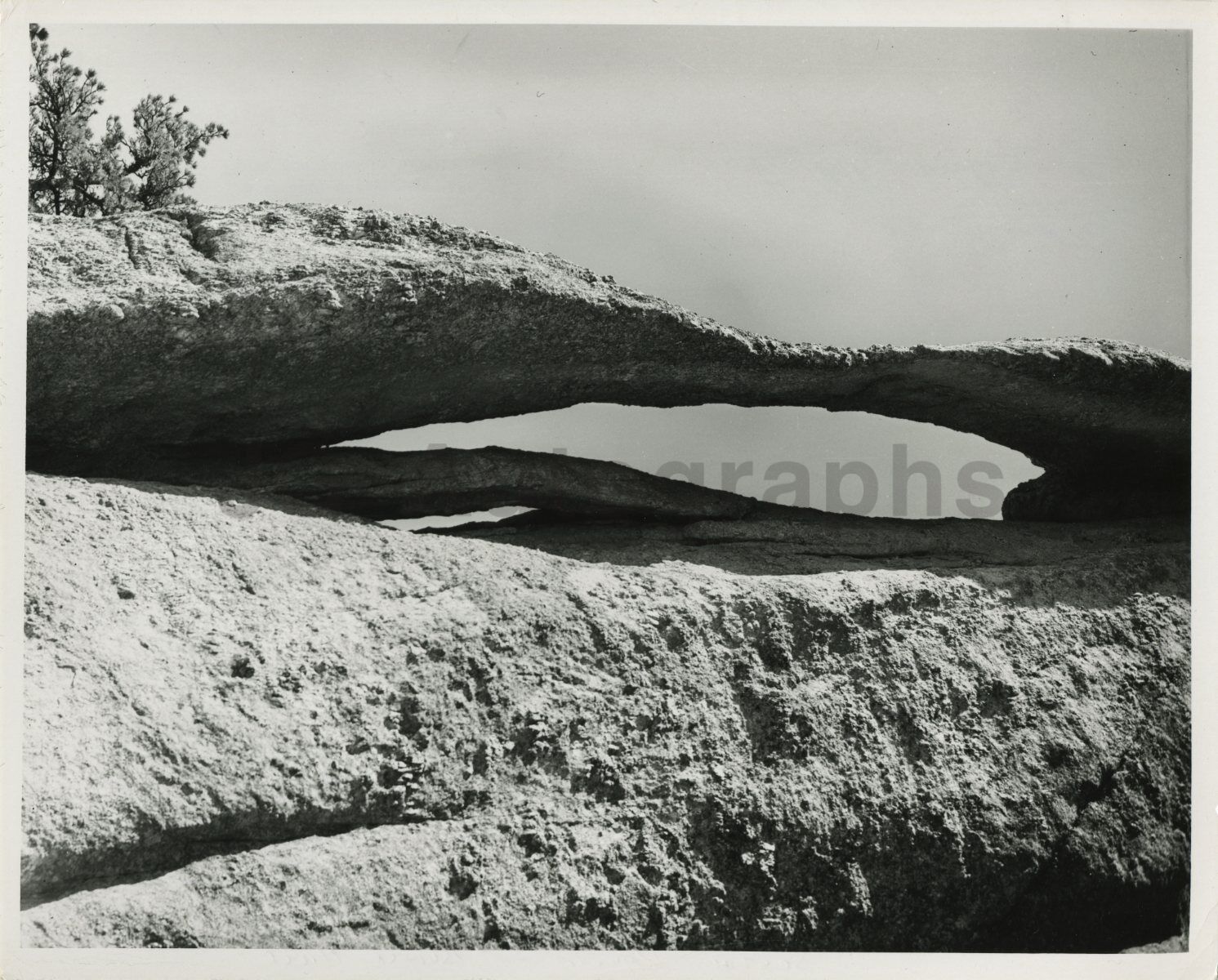 South Dakota History - Vintage 8x10 Photo Poster paintinggraph - Black Hills National Forest