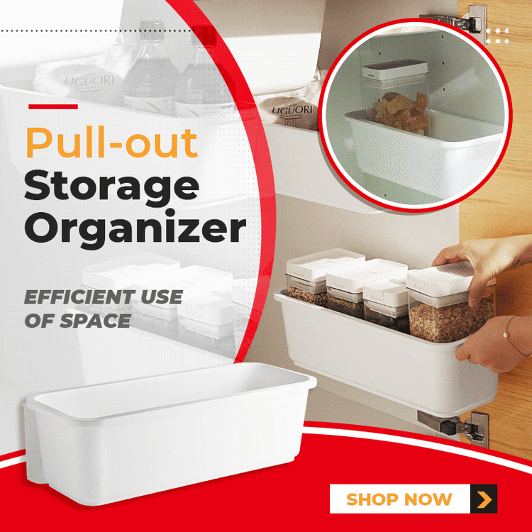 Pull-out Storage Organizer