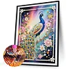 Diamond Painting-DIY Special Shaped Drill Pearl Painting Peacock(30x40cm)