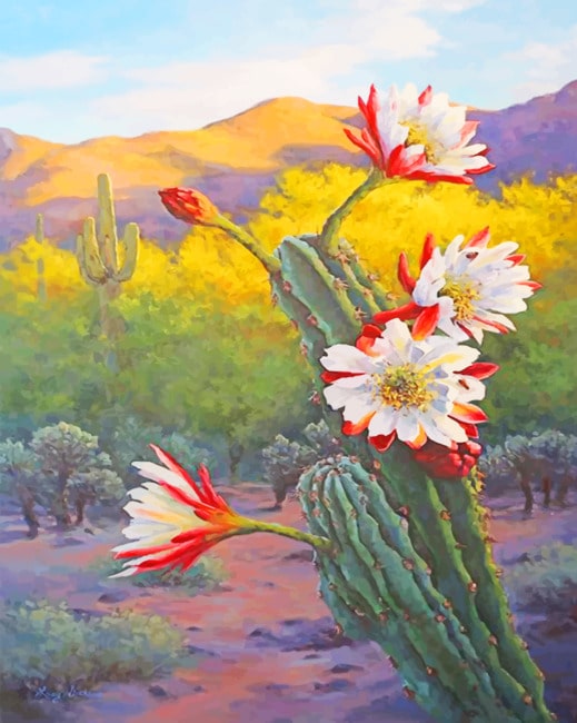 

White Red Flowers And Cactus – Paint By Numbers - 40*50CM, 501 Original