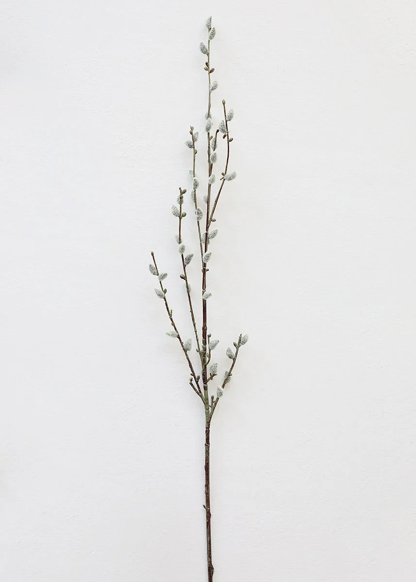 Fake Plastic Pussy Willow Branch - 45"