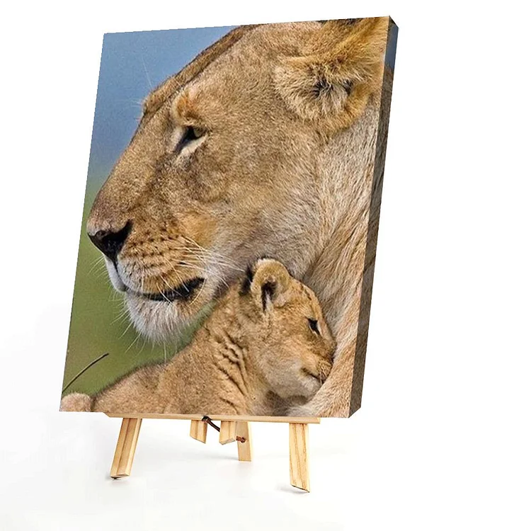 Lion  - Painting By Numbers - 40*50CM gbfke