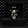 Tudor Black Bay GMT S&G