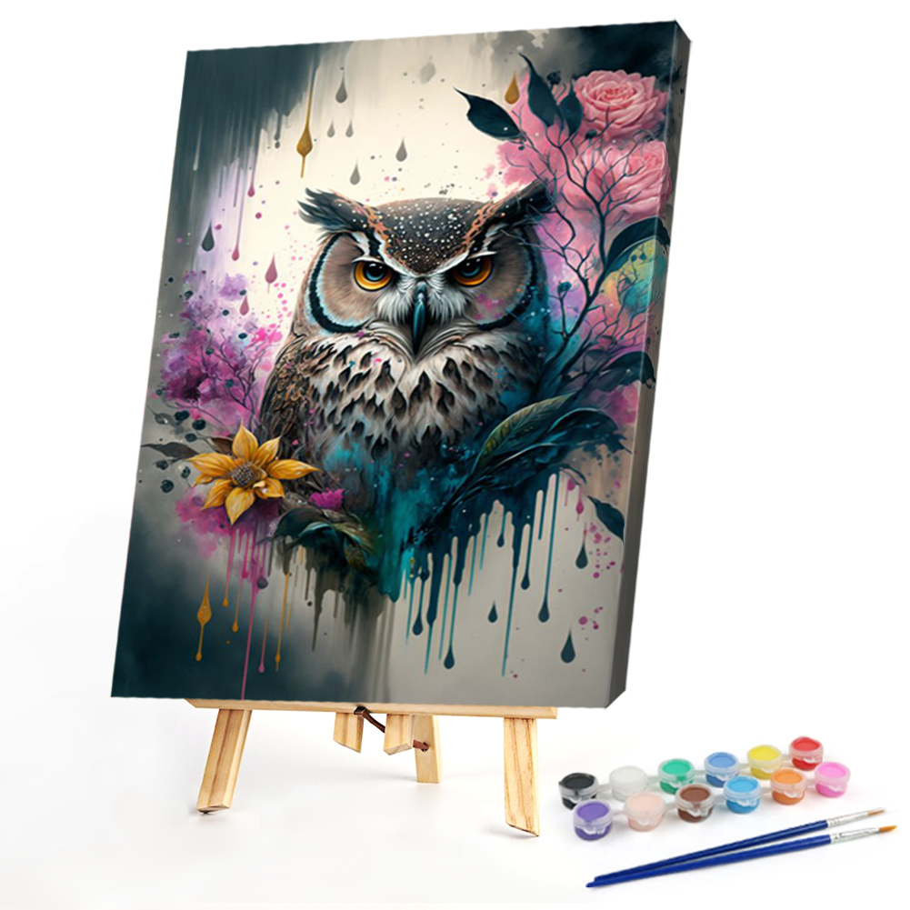 OwlPaint by Numbers 40*50cm