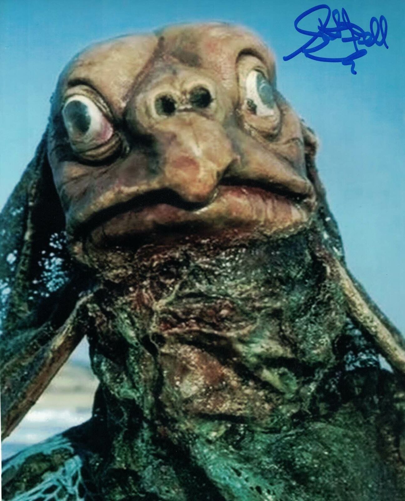 STUART FELL - Sea Devil in Doctor Who hand signed 10 x 8 Photo Poster painting