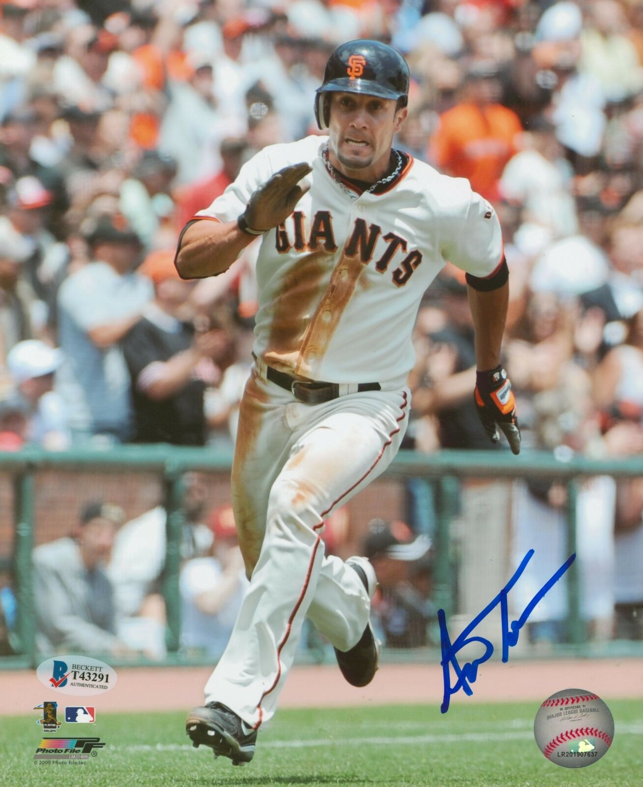 Giants Andres Torres Authentic Signed 8x10 Photo Poster painting Autographed BAS #T43291