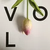 Single Head Mini Tulip PU Texture Artificial Flower 