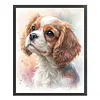 Cavalier King Charles Spaniel Dog-11CT Stamped/Counted Cross Stitch 40*50cm/15.75*19.69in tapestrymarket