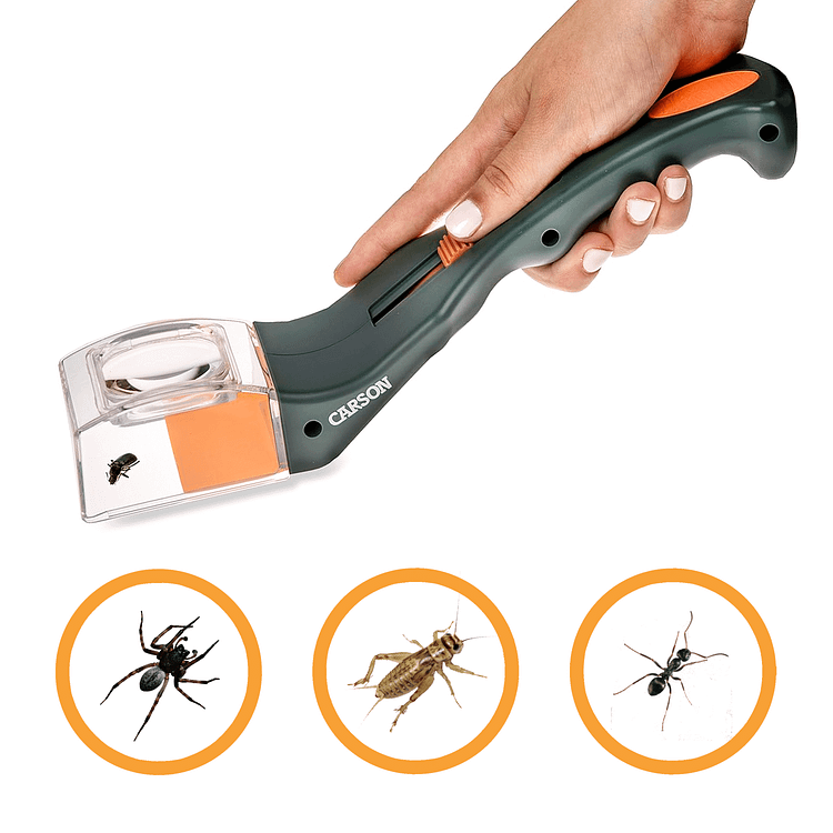 Bug Cather & BugView Tool