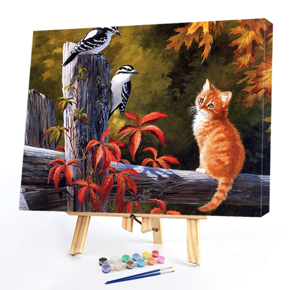 

40*50CM Paint By Numbers-Cat, 501 Original