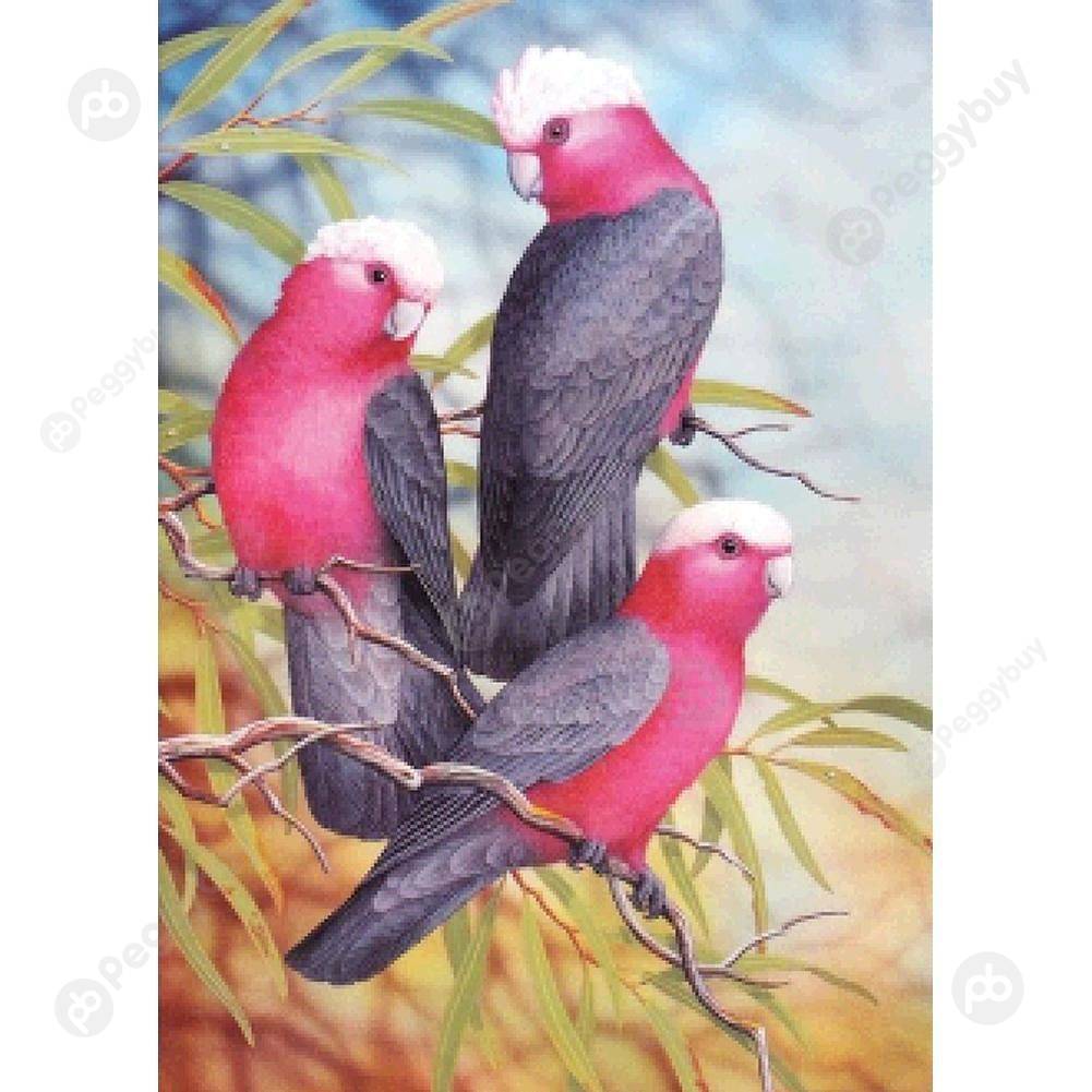 

30*40CM Round Drill Diamond Painting-Parrots, 501 Original