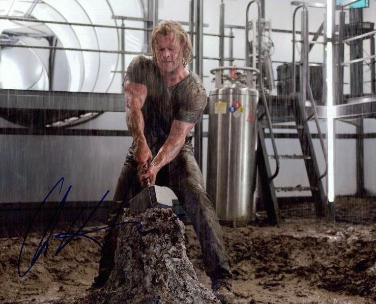 Chris Hemsworth (Thor Avengers) signed in-person 8x10 Photo Poster painting COA