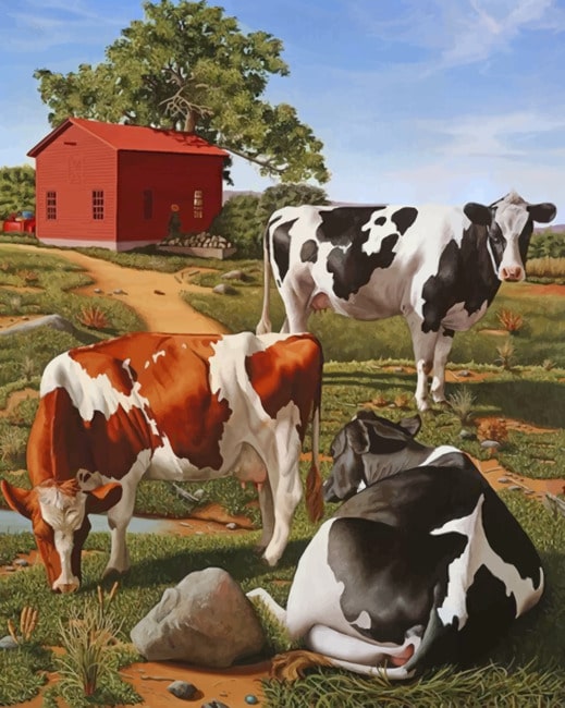

Black And Brown Cows – Paint By Numbers - 40*50CM, 501 Original