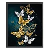 （No Printed Canvas）Counted Cross Stitch 11CT-Butterfly 40*50cm