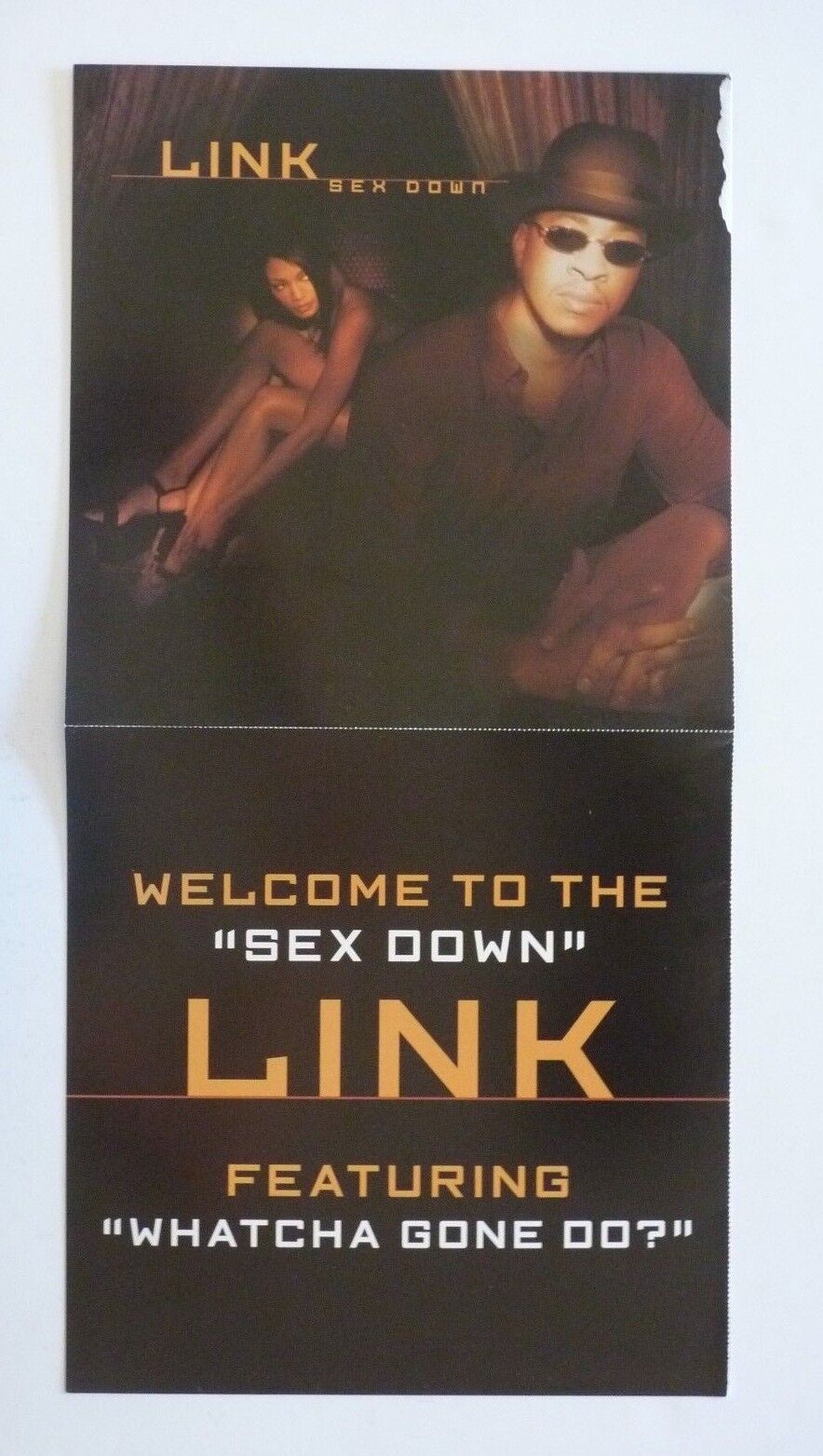 Link Sex Down LP Record Photo Poster painting Flat 12x24 Poster