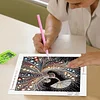 Diamond Painting-DIY Crystal Rhinestone Dancer