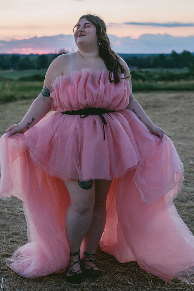 Xpluswear Plus Size Formal Dress Pink Elegant See-through The Gala Maxi Dress (With Belt)